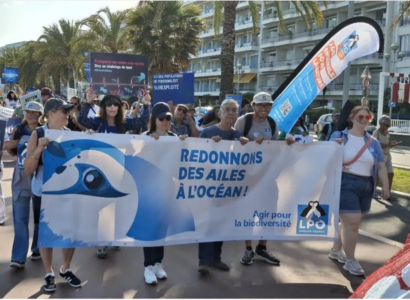 L’UNOC : une vague de promesses pour l’Océan
